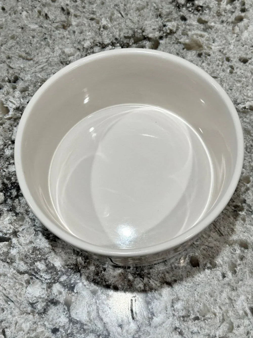 Rae Dunn by Magenta FEAST Dog Pet Food Water Bowl Artisan Collection 8 Inch XL
